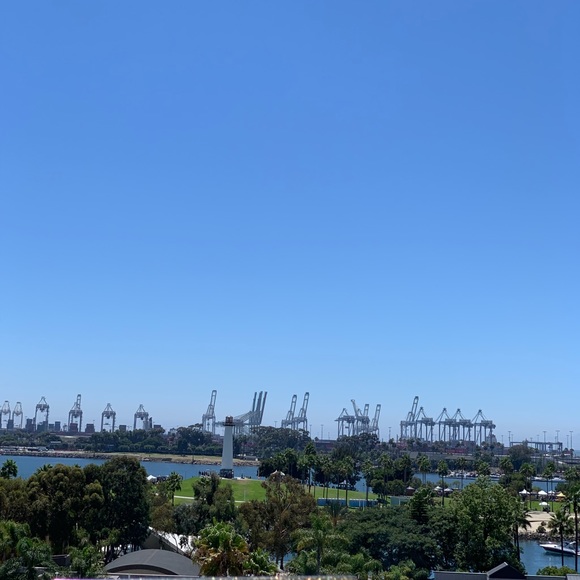 Meet your Posher, Joanna - Picture 1 of 1